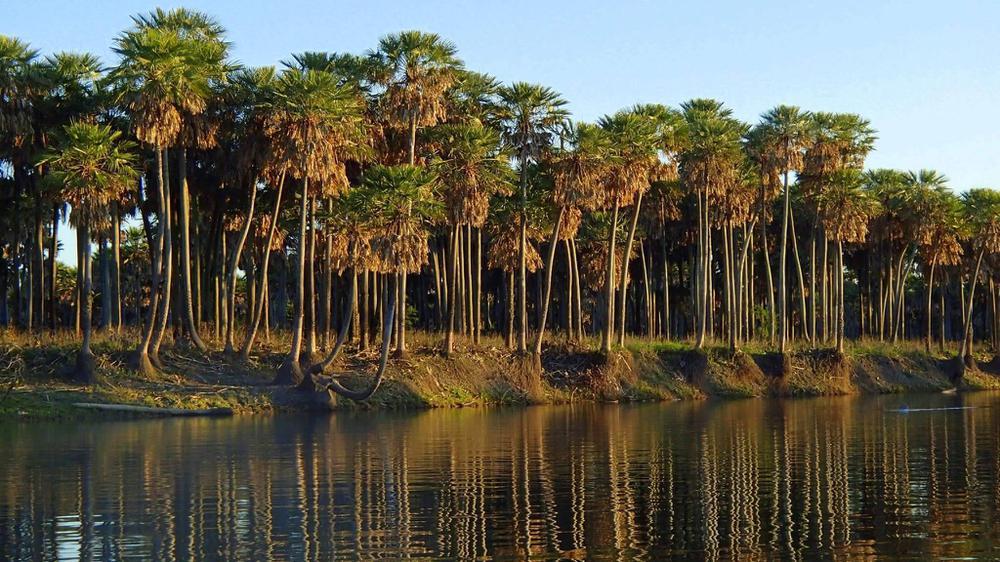 Chaco se prepara para tener un nuevo parque nacional y proteger